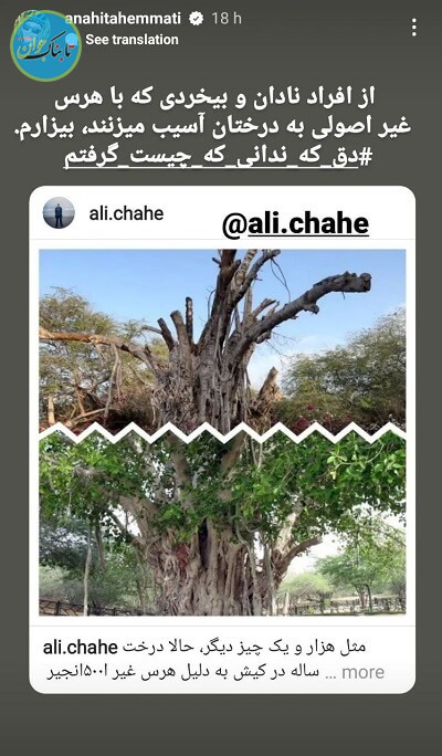 استوری آناهیتا همتی