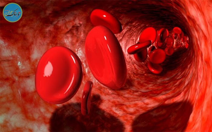 گلبول های قرمز