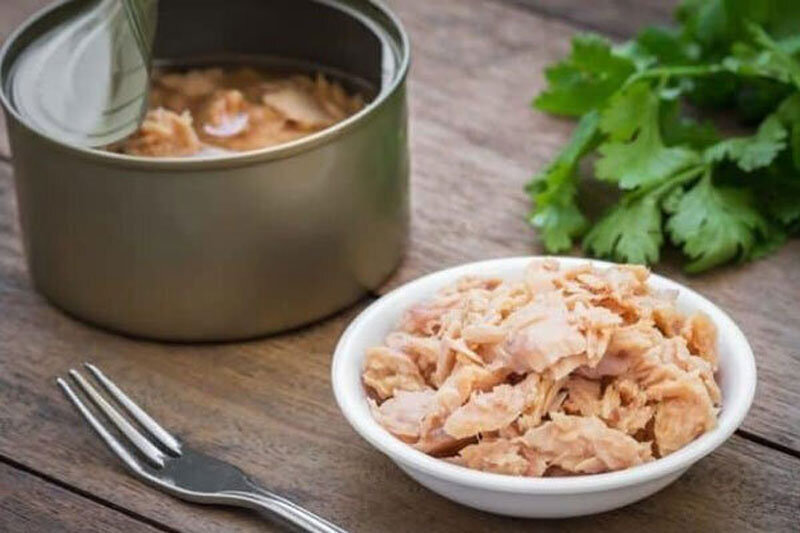 عکسی از تن ماهی 