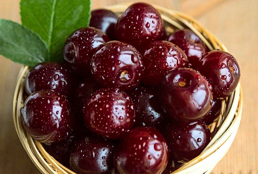 میوه‌هایی که باید هر روز بخورید