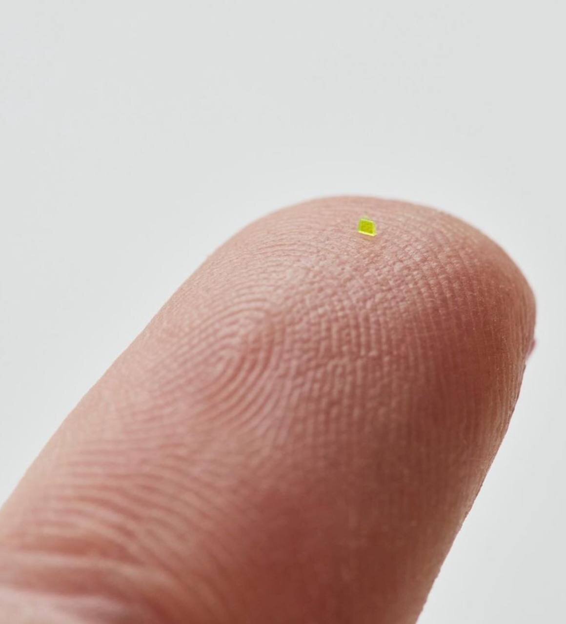 کیفی کوچکتر از یک دانه نمک!/ عکس