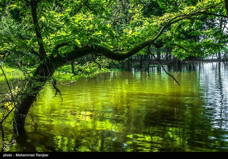 چشم‌انداز جالب دریاچه «نورماس» در رشت/ عکس
