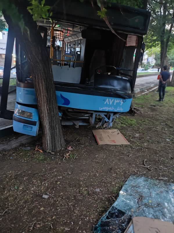 این درخت اتوبوس شهری که ترمز بریده بود را نگه داشت/ عکس