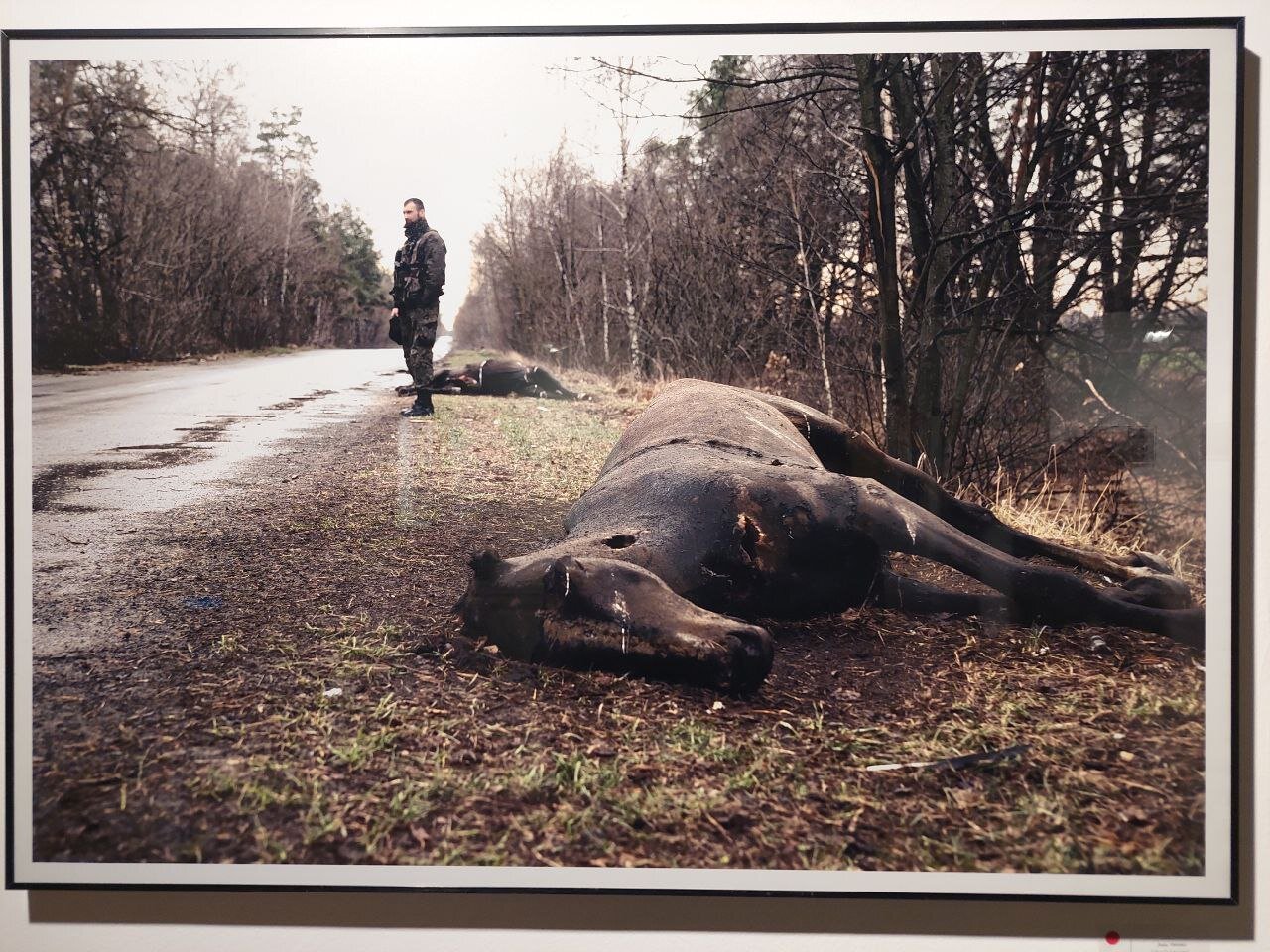 خشونت، خشونت است/ عکس