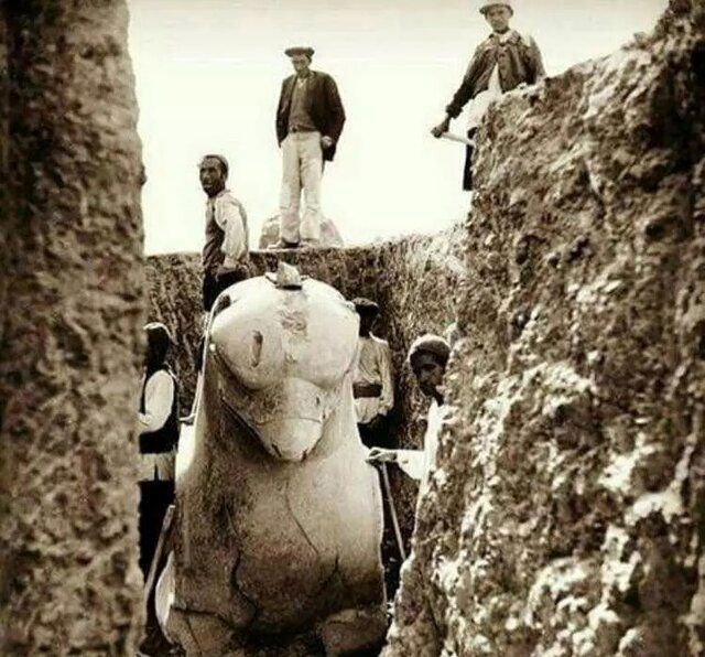 یک موجود عجیب از دوران هخامنشی + عکس