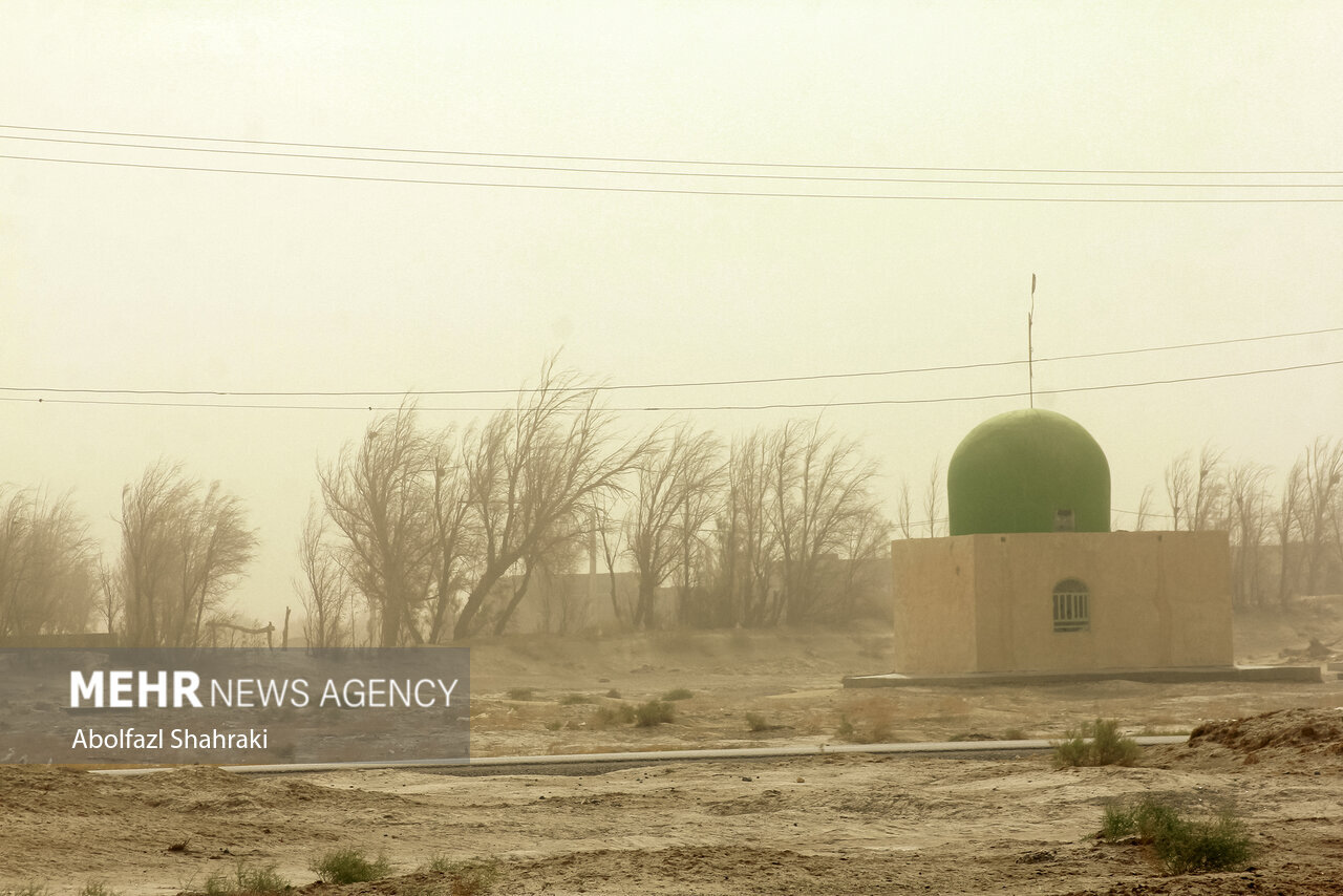 نعمتی که حالا بلای جان مردم این شهر شده است/ عکس