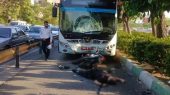 تصادف مرگبار دو موتور سوار در خط ویژه اتوبوس