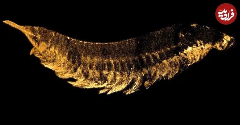 (تصاویر) بازسازی چهرۀ «هیولای سهچشم»