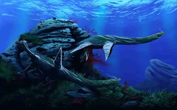 کشف فسیل پلسیوسور 250 میلیون ساله