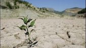 خشکسالی متوسط تا خیلی شدید طی سه سال اخیر/ کاهش ۲۰ درصدی بارش‌ها