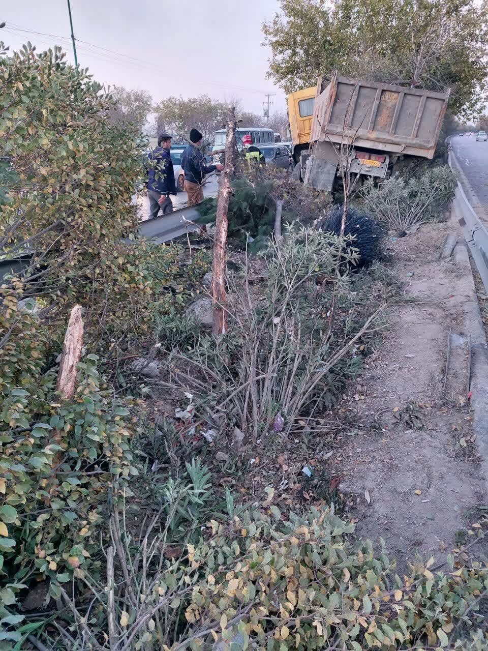 برخورد کامیون با ۹ درخت حادثه ساز شد/ عکس
