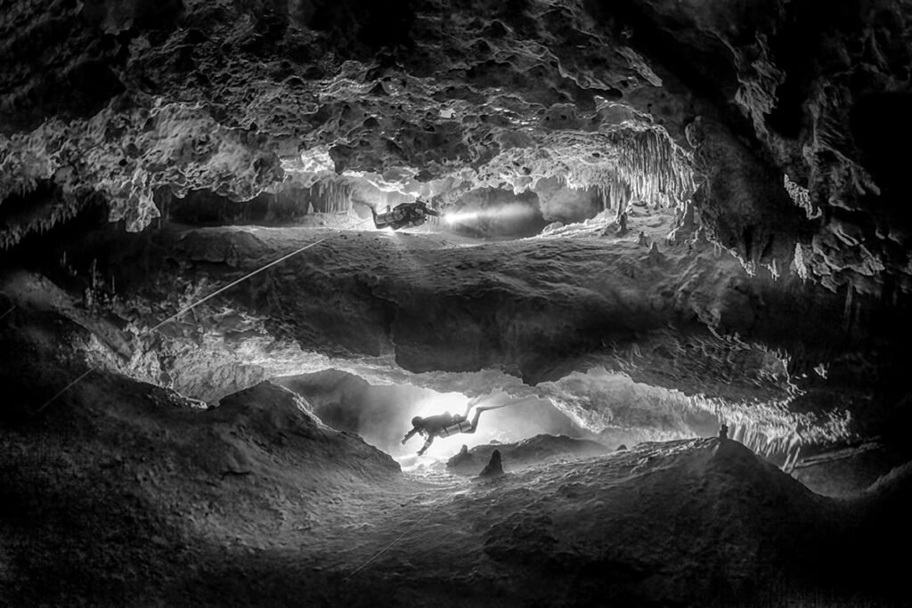 شکار موجودی بیگانه در اعماق تاریکی!/ عکس