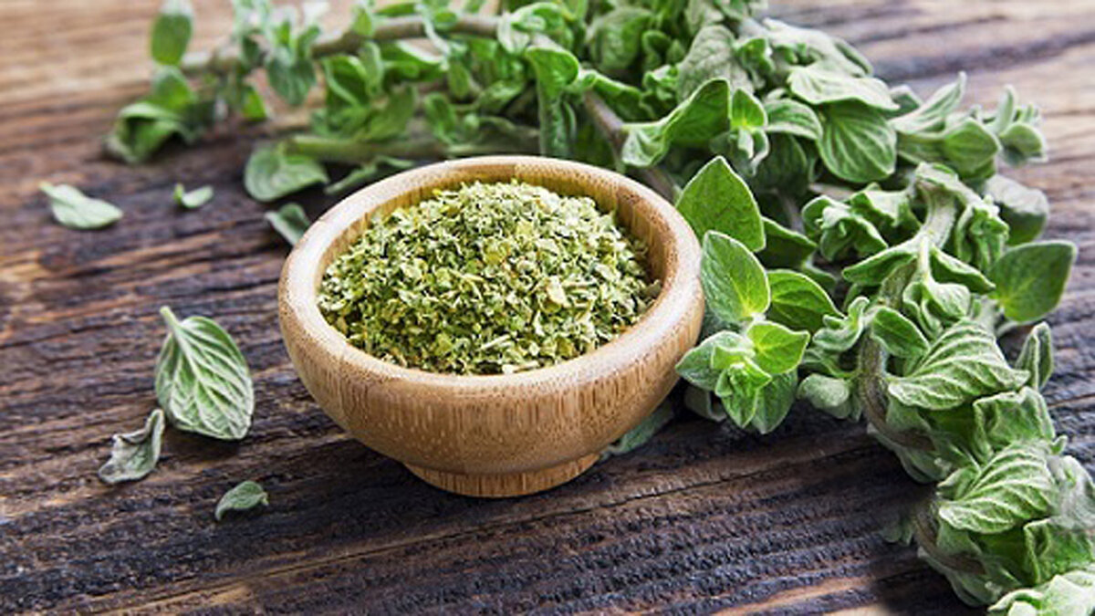 ۶ فایده شگفتانگیز این گیاه معطر؛ از کاهش عفونت تا نابودی سرطان