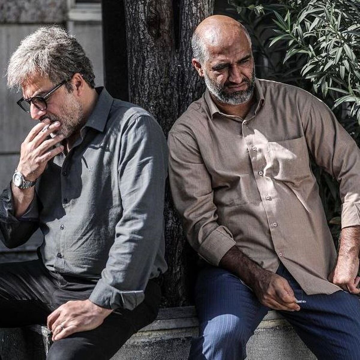 این فیلم هم قاچاق شد ؛ پژمان جمشیدی، امیر آقایی و ...