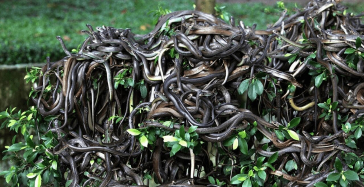 ده مکان از خطرناک‌ترین نقاط دنیا را بشناسید/ عکس