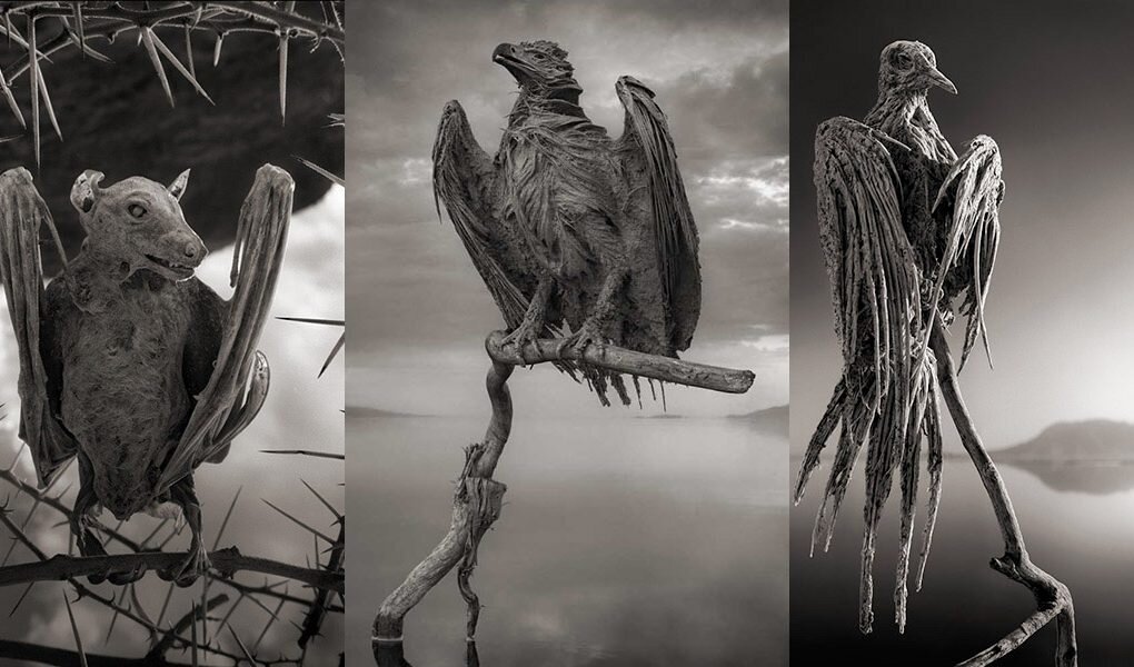 ده مکان از خطرناک‌ترین نقاط دنیا را بشناسید/ عکس