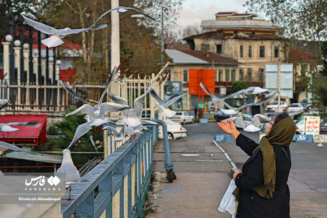 تصاویر خاص از مهاجران سیبری در بندر انزلی