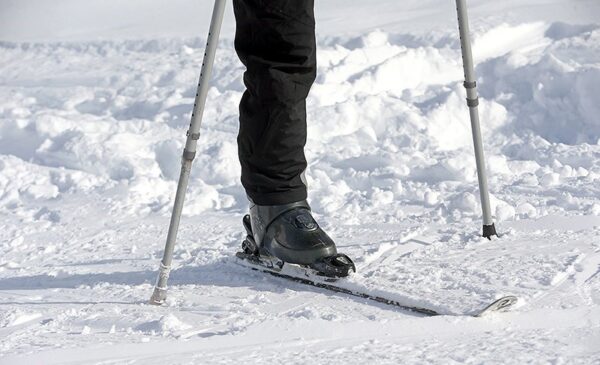 اعزام دو ملی‌پوش پارااسکی به کمپ تمرینی کره جنوبی