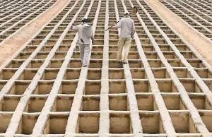 عکسی از قبرهای بهشت زهرا