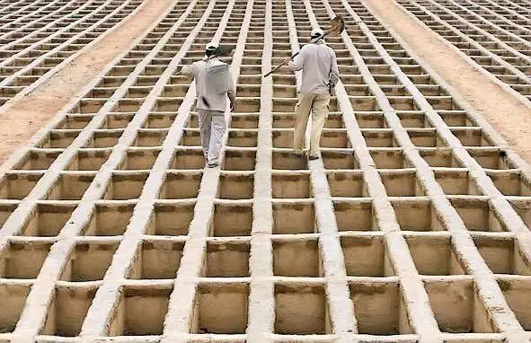 عکسی از قبرهای بهشت زهرا