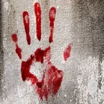 معمای جنایت در جاده شمال