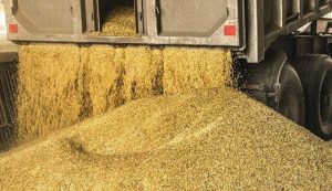 توزیع نهادههای مدت دار