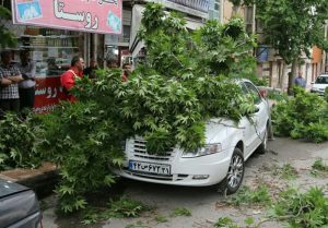 هشدار نارنجی برای تهران/ رگبار و تندباد در راه است