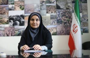 صادق مالواجرد: کلید موفقیت وزارت راه و شهرسازی در تعامل با دیگر دستگاهها است