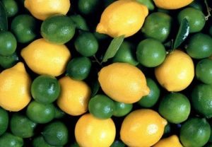 لیموترش جهرم به روسیه رسید