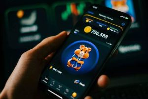 آموزش تبدیل قیمت همستر به دلار و تومان + جزئیات