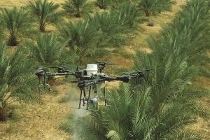 جلسه مشترک مرکزآمار و وزارت جهاد برای سرشماری