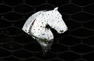 هجوم خریداران برای خرید این خودرو/ سود ۳۰۰ میلیونی به جیب این خریداران رفت