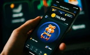 تمامی نکات گام به گام نقد کردن همستر کوین