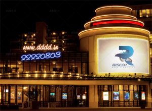 رایزکو و طرح‌های کلیدی برای ایجاد فرصت‌های شغلی