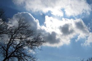 افزایش ابر و وزش باد در مناطق شرقی و مرکزی کشور