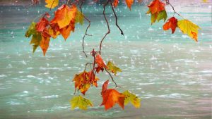 پیشبینی بارشها برای سهشنبه ۱۷ مهر