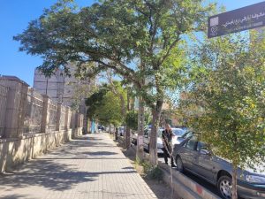 کشف و کاوش دانشگاه ۷۰۰ ساله ربع رشیدی در تبریز در هالهای از ابهام و فراموشی