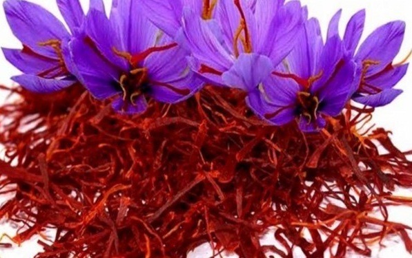 طلای سرخ