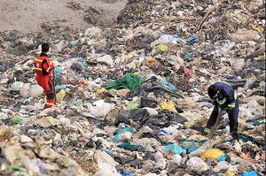 درآمد روزانه ۴ میلیارد تومانی تهران با تغییر عادات زباله‌گذاری