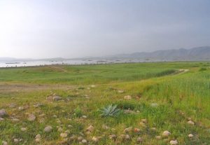 ایران دارای ۱۳ ذخیره‌گاه زیست‌کره است