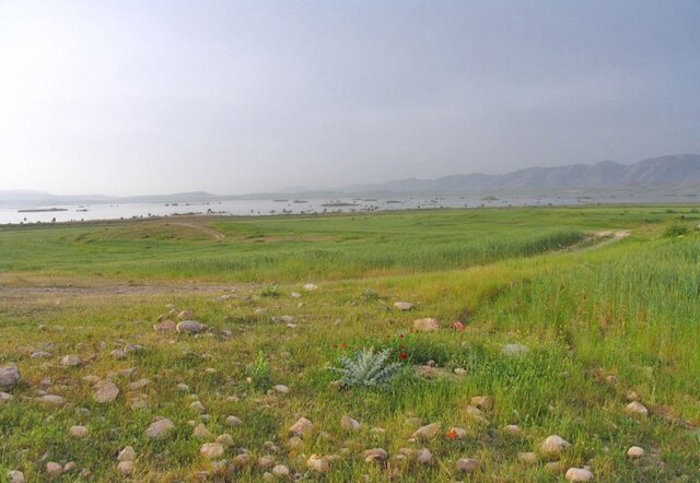 ایران دارای ۱۳ ذخیره‌گاه زیست‌کره است