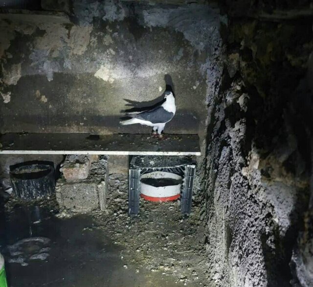 حریق گسترده در گاراژ بزرگراه شهید کاظمی مهار شد