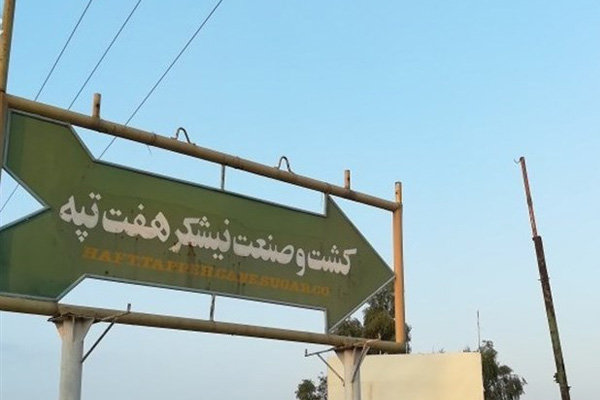 نیشکر «هفتتپه