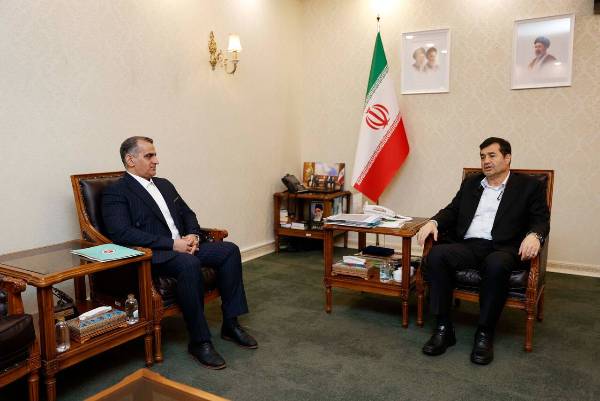 دنیامالی: ساماندهی سبکها، مهمترین دستاورد فدراسیون انجمنهای ورزشهای رزمی است