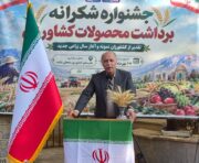 شازند رکورددار تولید گندم