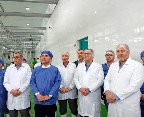 بررسی وضعیت گازرسانی به کشتارگاه صنعتی داوود آباد